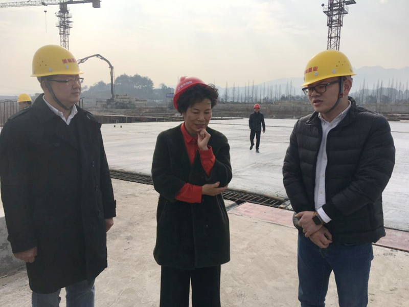 麗水市委常委、宣傳部長(zhǎng)任淑女調(diào)研松陽(yáng)美林·南城壹號(hào)項(xiàng)目