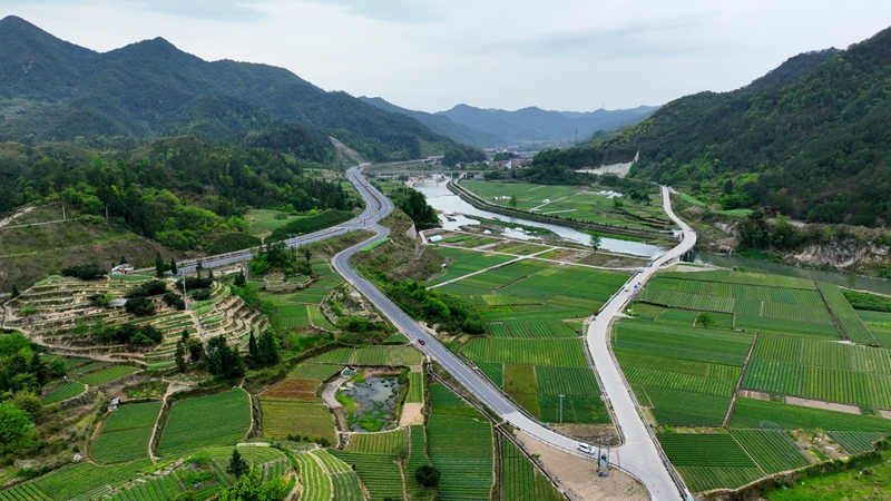 浙農(nóng)浙貝母、杭白菊基地通過中藥材GAP延伸檢查